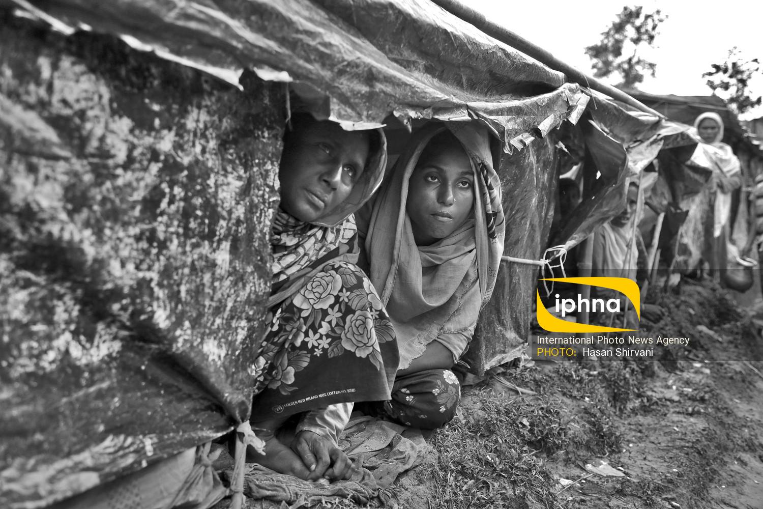 تصویر منتخب